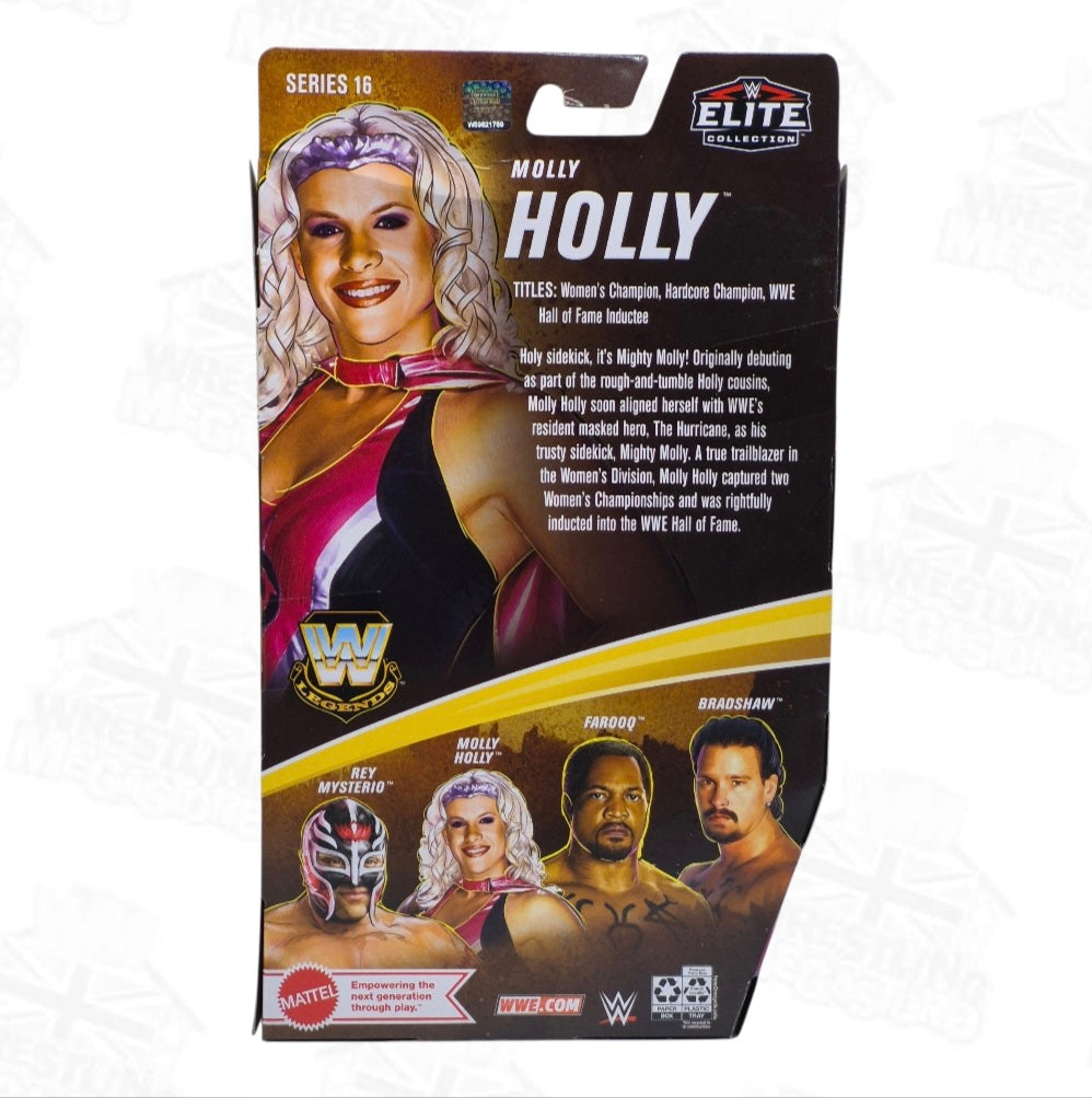 WWE ELITE MATTEL LEGENDS SERIES 16 MOLLY HOLLY *DAMAGED*