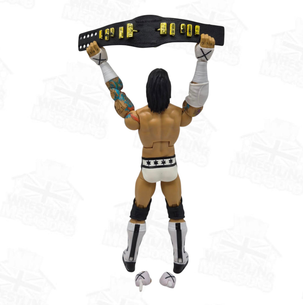 WWE ELITE MATTEL HALL OF CHAMPIONS CM PUNK