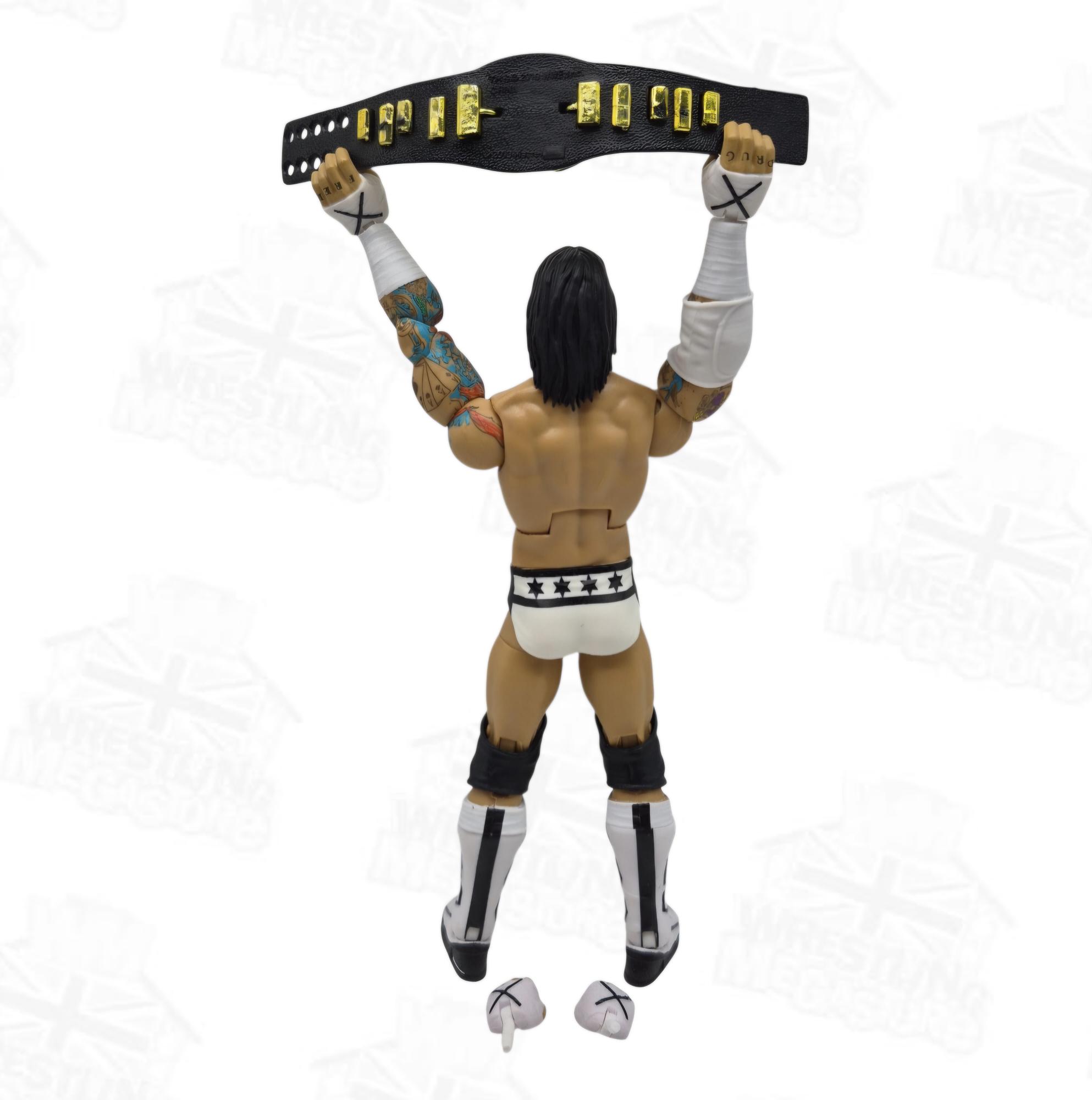 WWE ELITE MATTEL HALL OF CHAMPIONS CM PUNK
