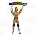 WWE ELITE MATTEL HALL OF CHAMPIONS CM PUNK